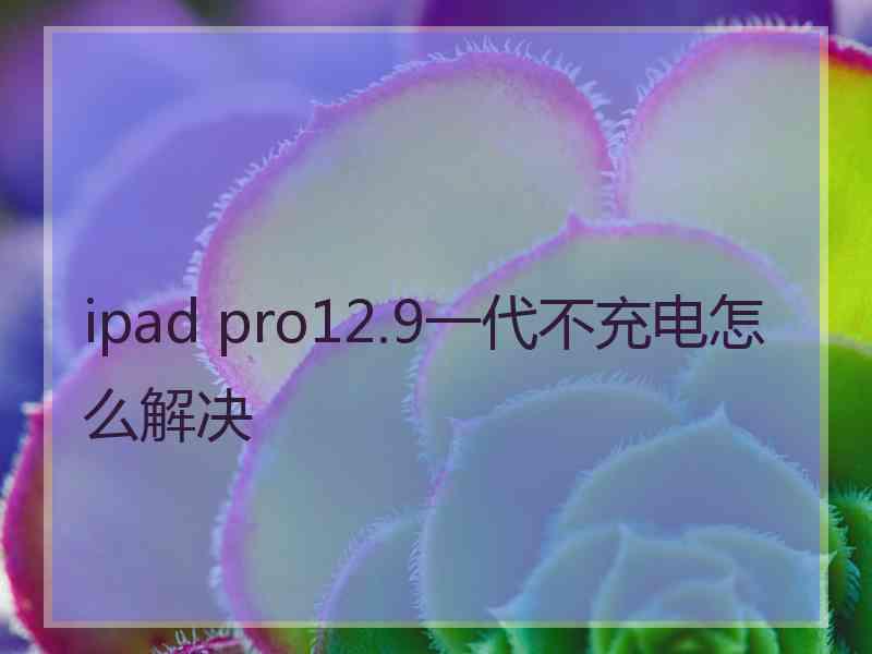 ipad pro12.9一代不充电怎么解决