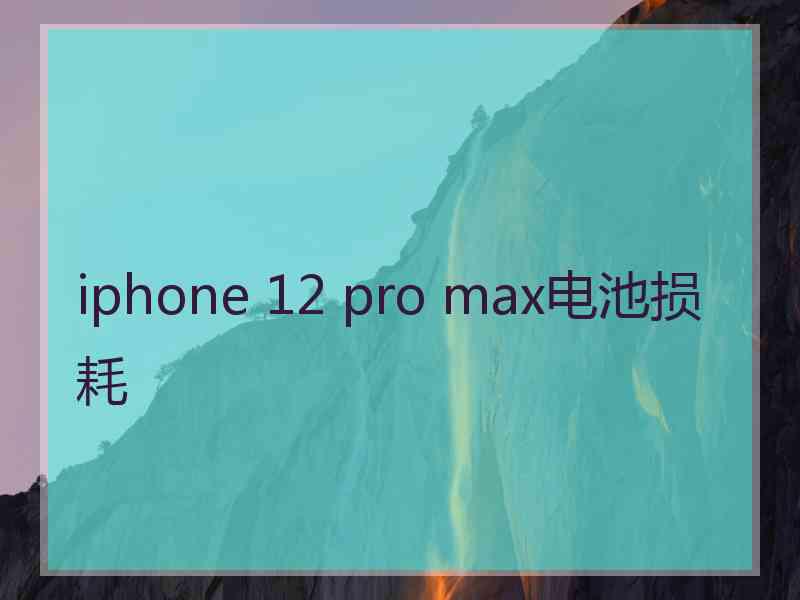 iphone 12 pro max电池损耗