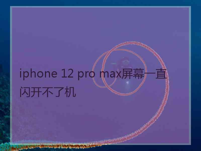 iphone 12 pro max屏幕一直闪开不了机