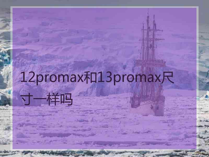 12promax和13promax尺寸一样吗