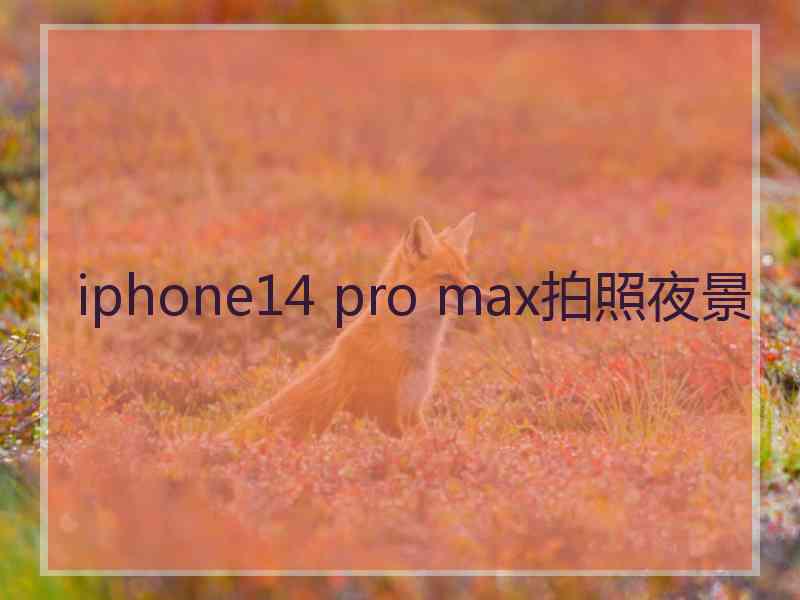 iphone14 pro max拍照夜景