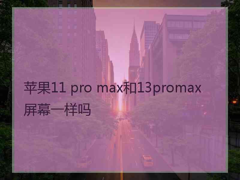 苹果11 pro max和13promax屏幕一样吗