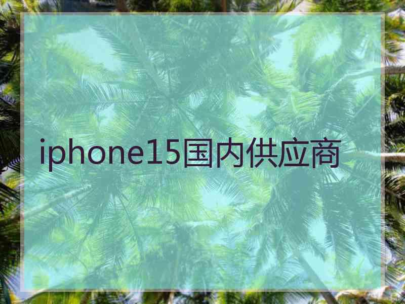 iphone15国内供应商