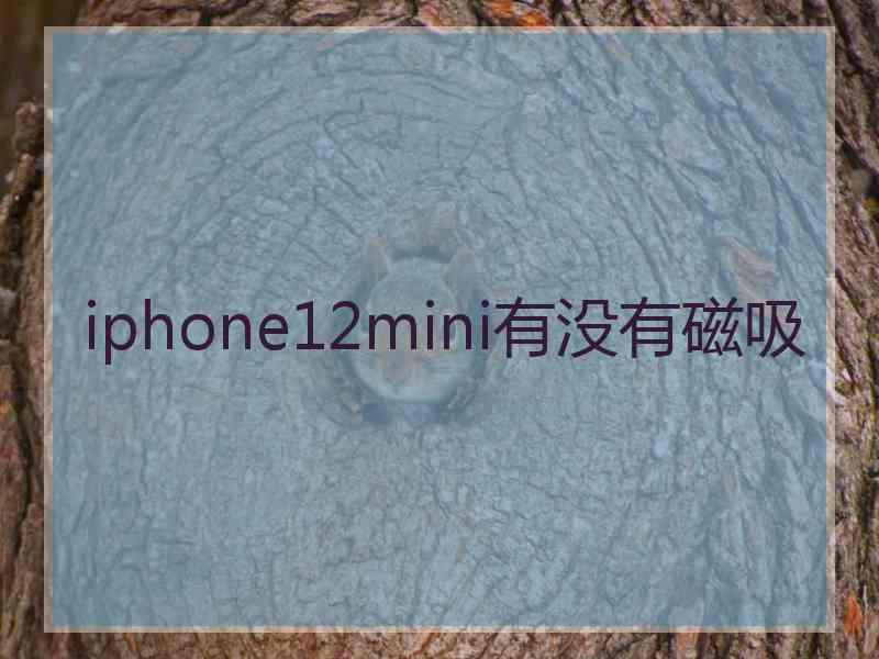 iphone12mini有没有磁吸