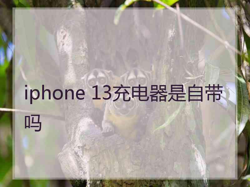 iphone 13充电器是自带吗