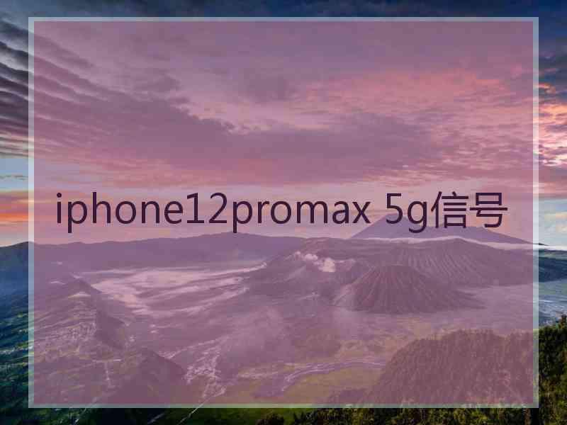 iphone12promax 5g信号