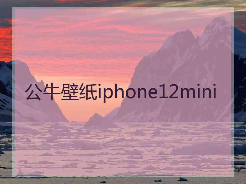 公牛壁纸iphone12mini