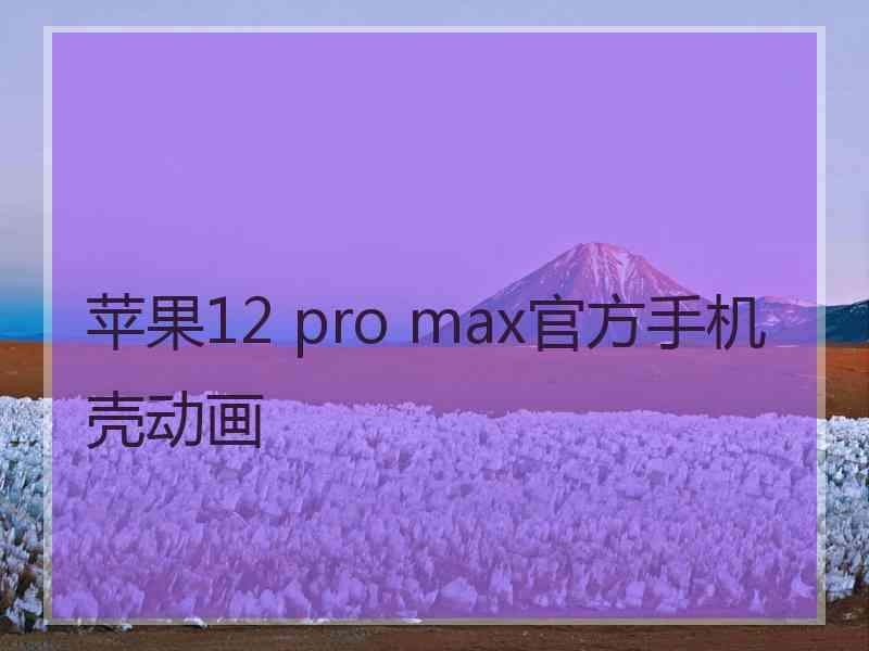 苹果12 pro max官方手机壳动画