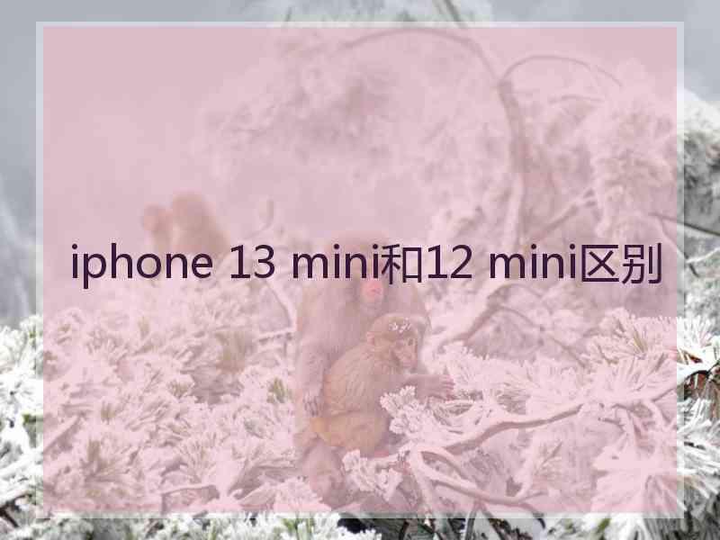 iphone 13 mini和12 mini区别