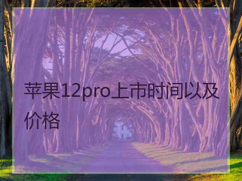 苹果12pro上市时间以及价格