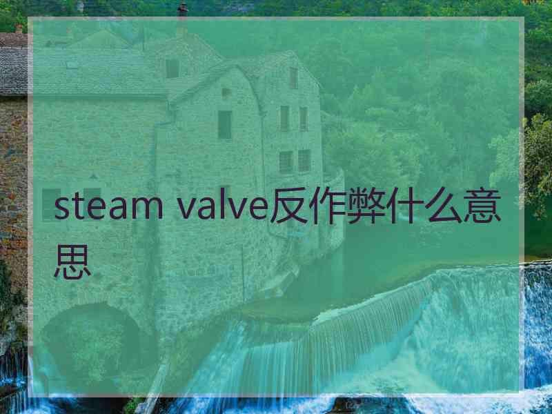 steam valve反作弊什么意思