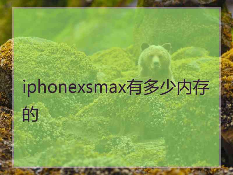 iphonexsmax有多少内存的