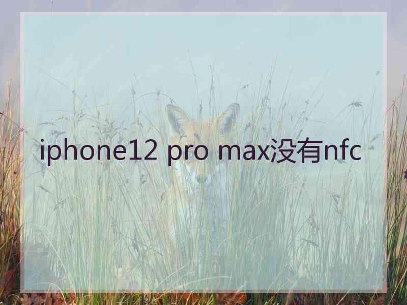 iphone12 pro max没有nfc