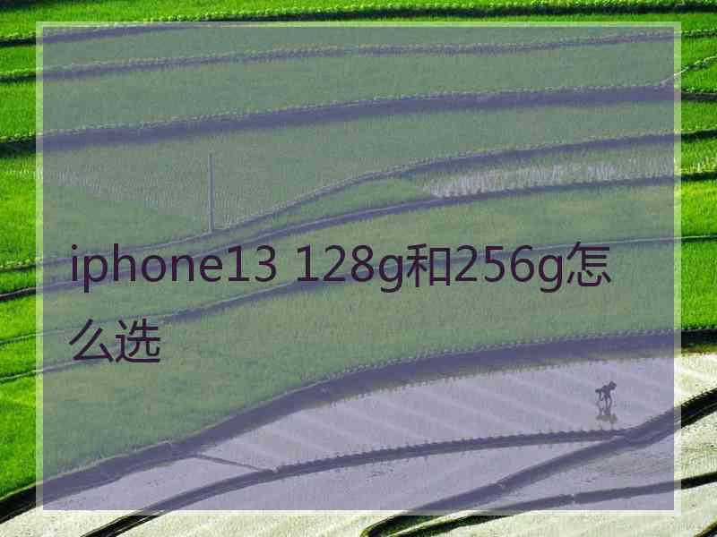 iphone13 128g和256g怎么选