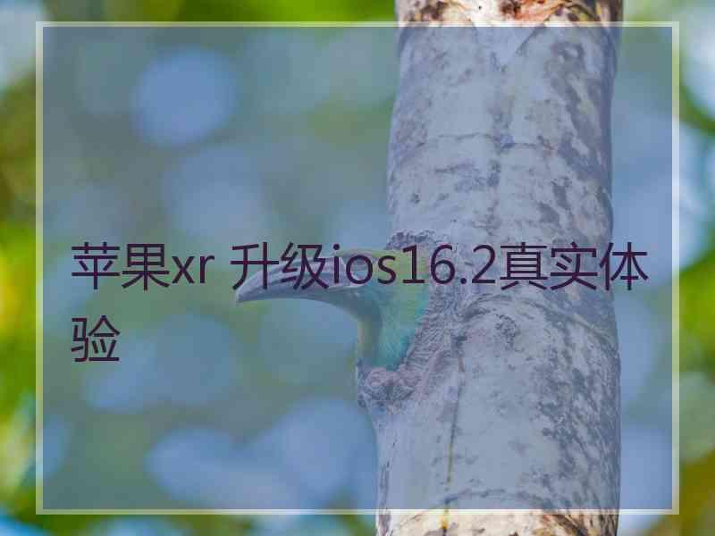 苹果xr 升级ios16.2真实体验