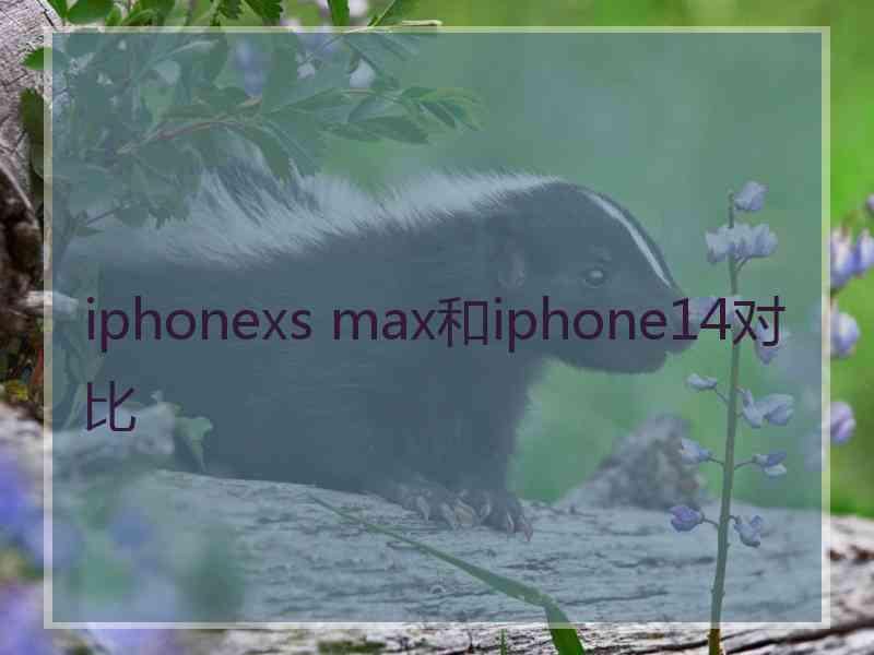 iphonexs max和iphone14对比