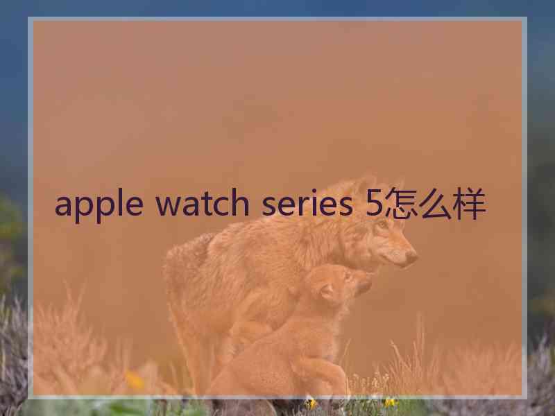 apple watch series 5怎么样