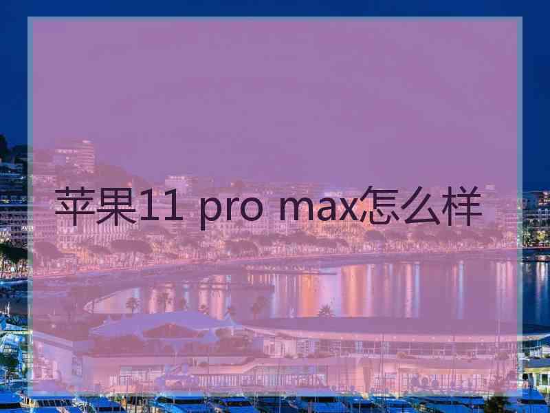 苹果11 pro max怎么样