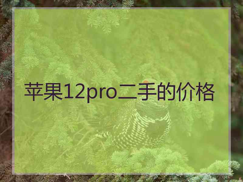 苹果12pro二手的价格