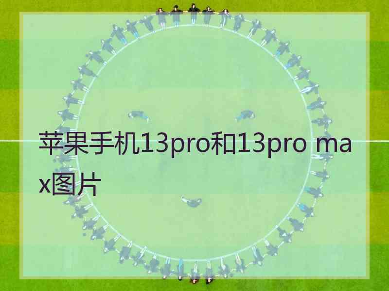 苹果手机13pro和13pro max图片