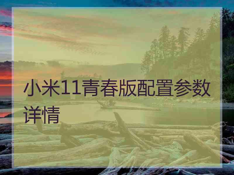 小米11青春版配置参数详情