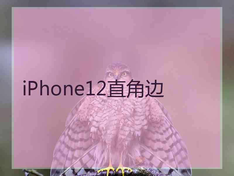 iPhone12直角边