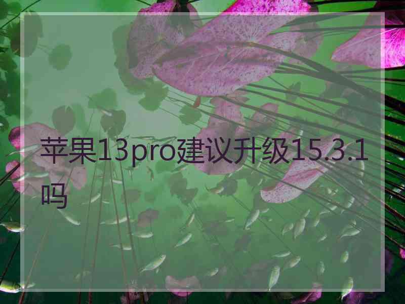 苹果13pro建议升级15.3.1吗