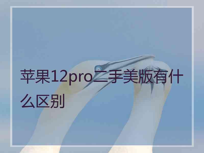 苹果12pro二手美版有什么区别