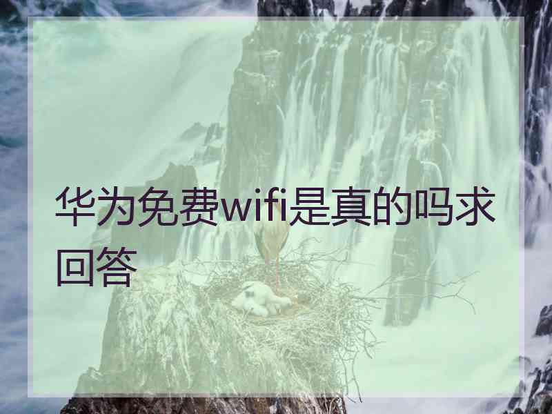 华为免费wifi是真的吗求回答