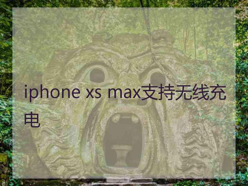 iphone xs max支持无线充电