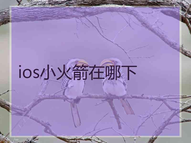 ios小火箭在哪下