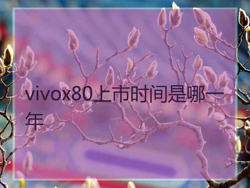 vivox80上市时间是哪一年