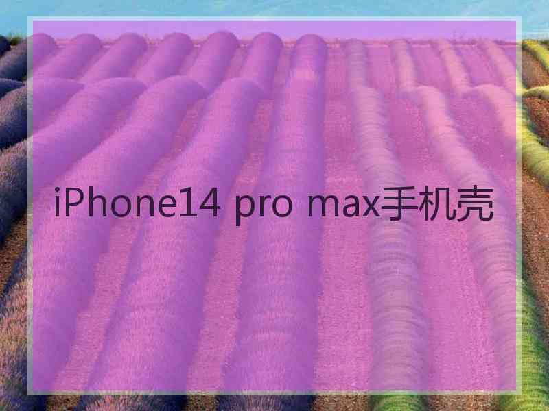 iPhone14 pro max手机壳