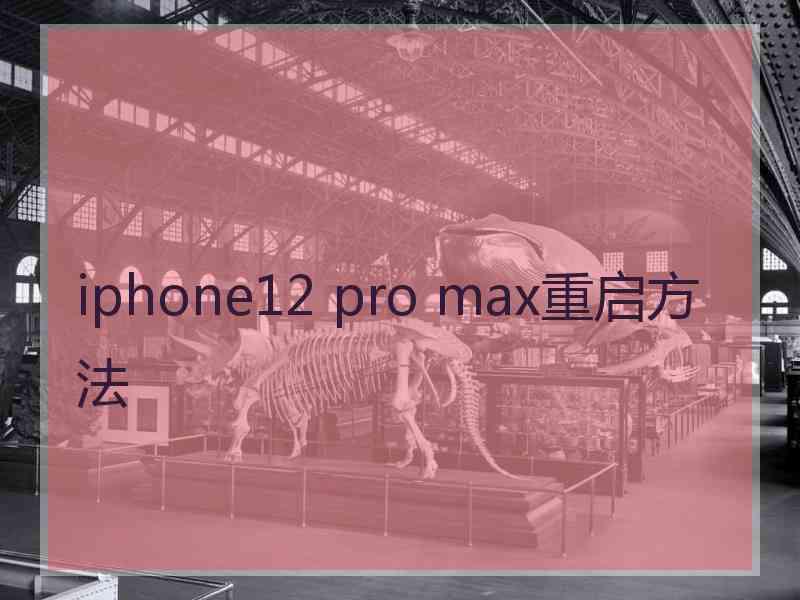 iphone12 pro max重启方法