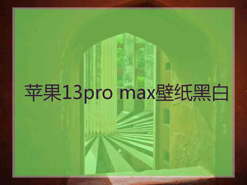 苹果13pro max壁纸黑白