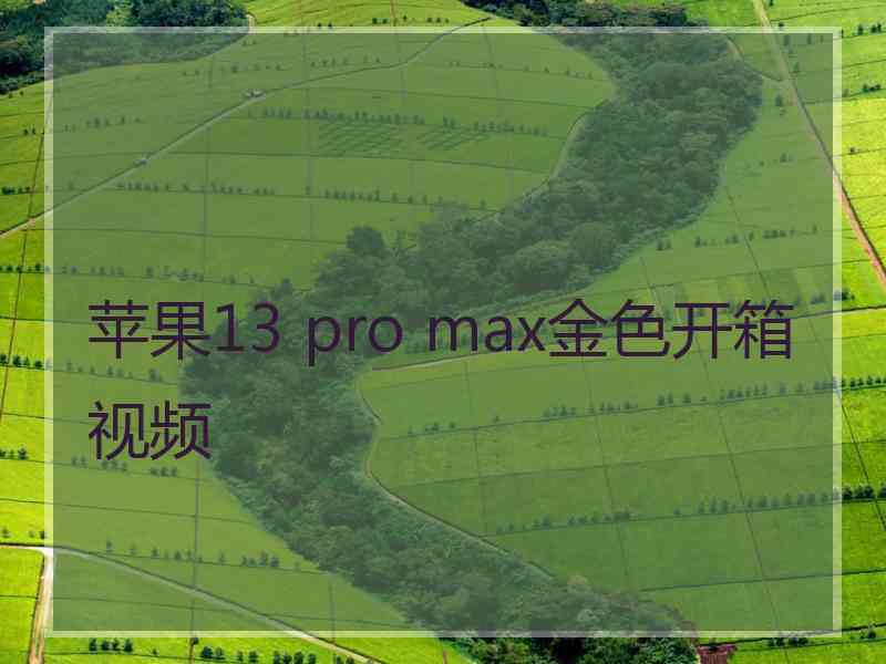 苹果13 pro max金色开箱视频