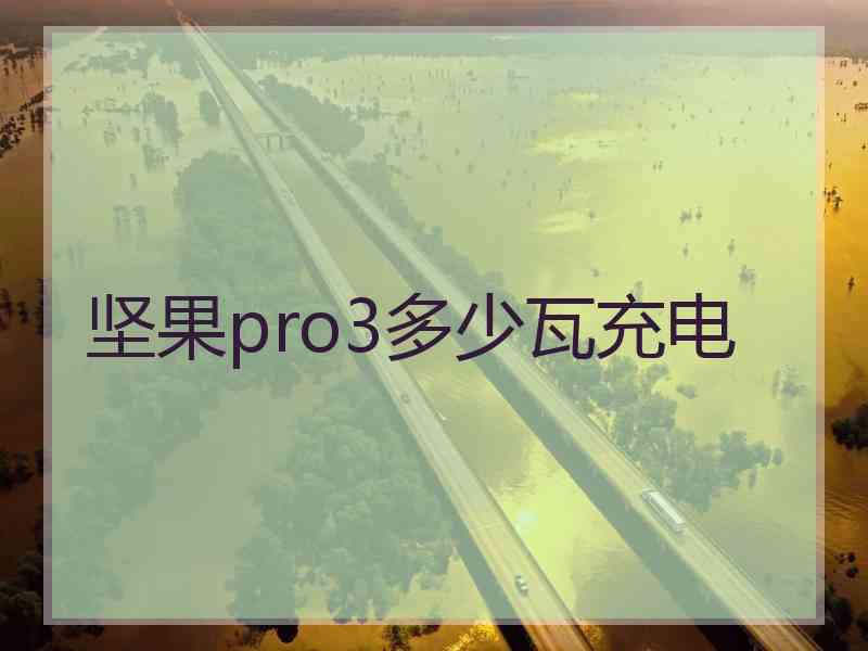 坚果pro3多少瓦充电