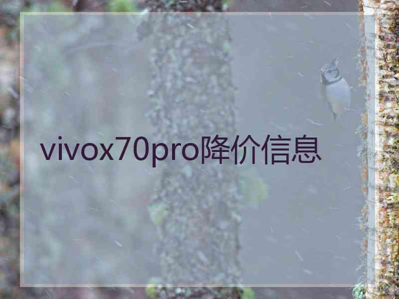 vivox70pro降价信息