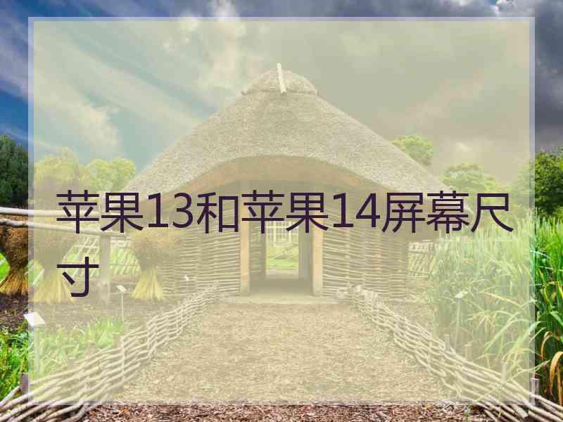 苹果13和苹果14屏幕尺寸