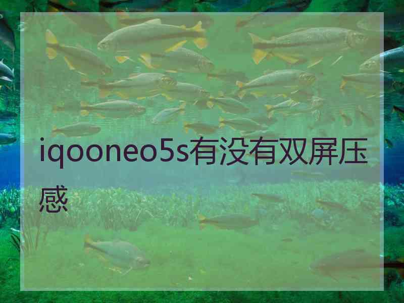 iqooneo5s有没有双屏压感