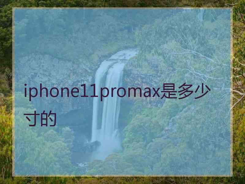 iphone11promax是多少寸的