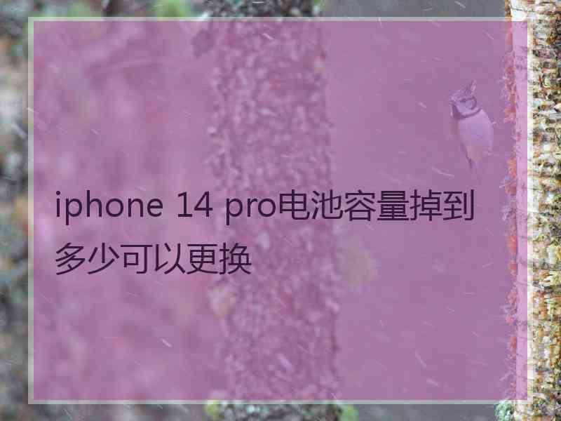 iphone 14 pro电池容量掉到多少可以更换