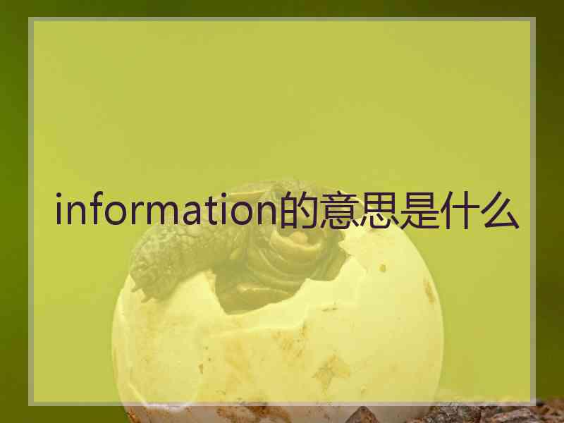 information的意思是什么