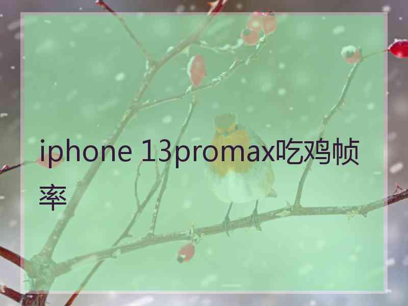 iphone 13promax吃鸡帧率