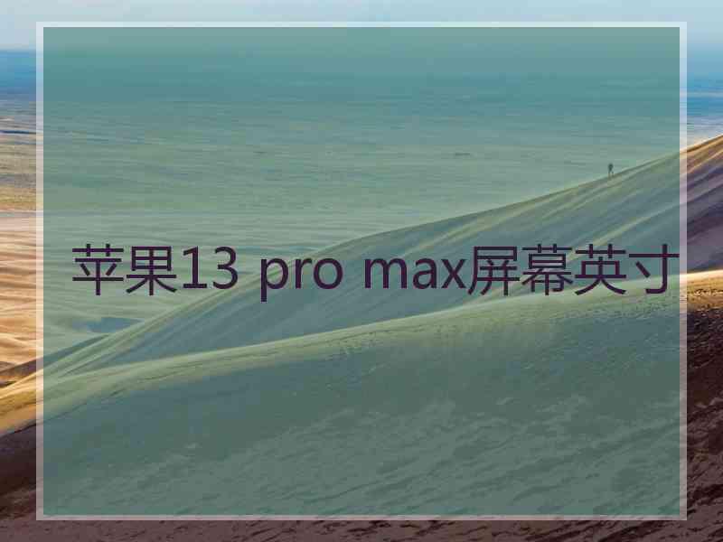 苹果13 pro max屏幕英寸