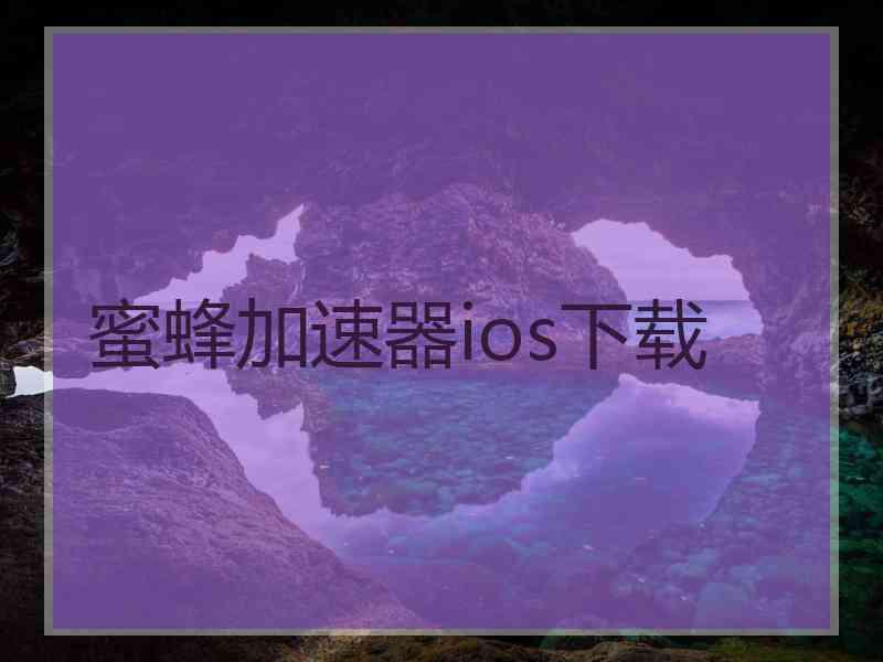 蜜蜂加速器ios下载