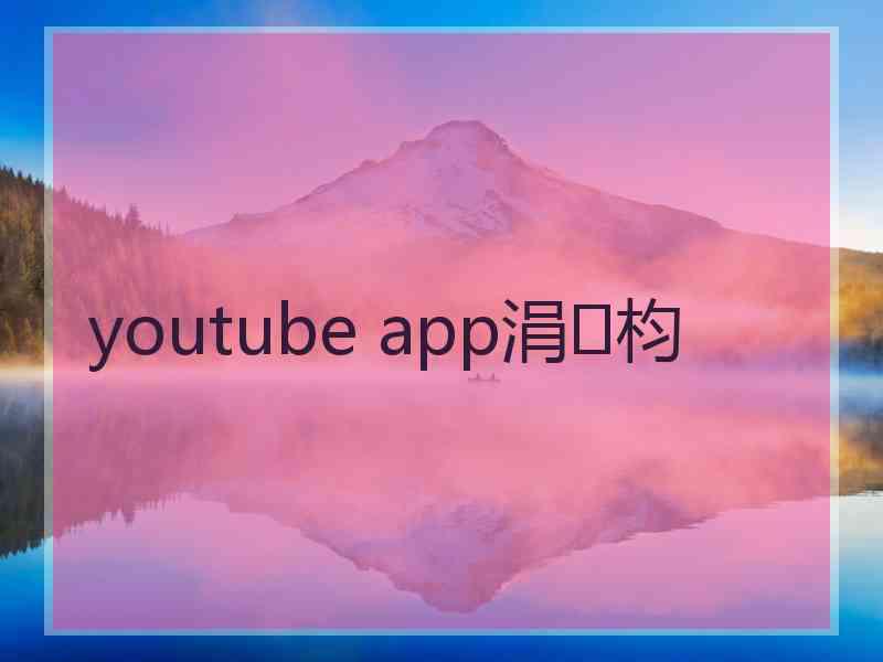 youtube app涓枃