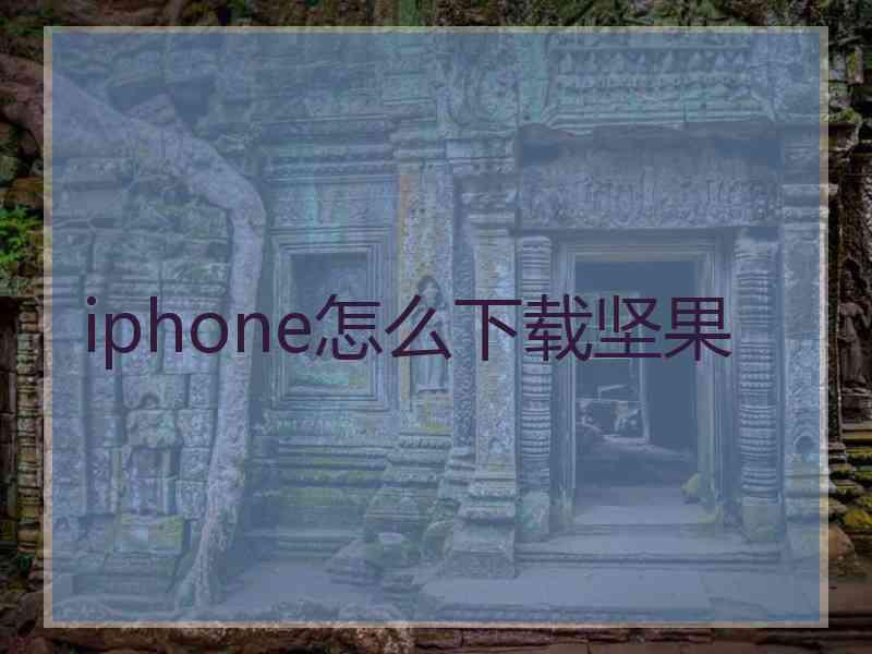 iphone怎么下载坚果