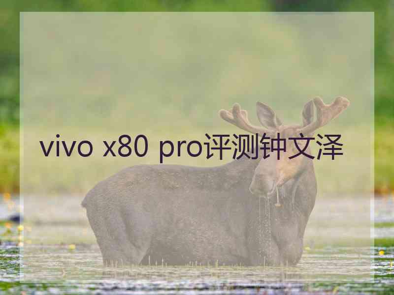 vivo x80 pro评测钟文泽