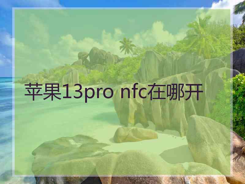 苹果13pro nfc在哪开